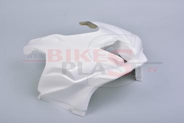 Bikesplast Oberteil Stock Kawasaki ZX10R 2016+